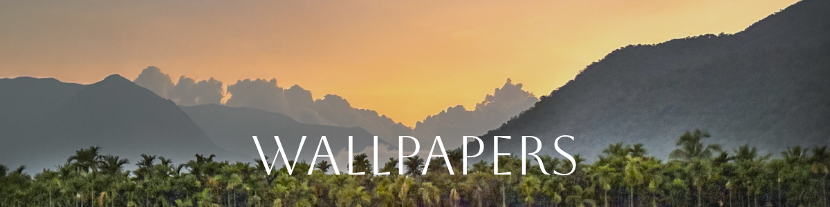 Phone_Desktop_PC_Wallpaper